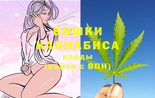 индика Кизел