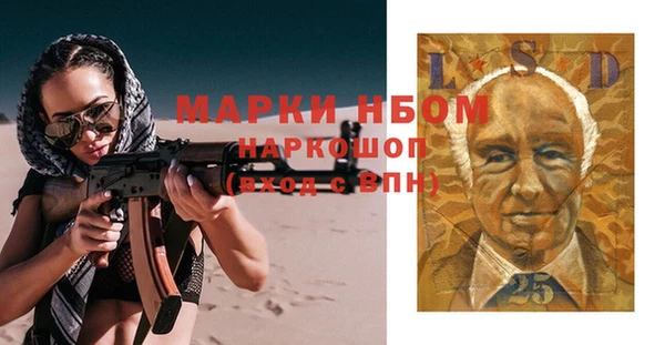 хмурый Кирс