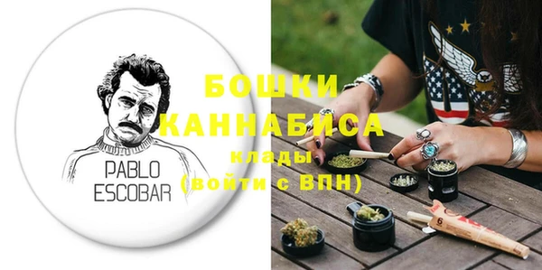крисы Осинники