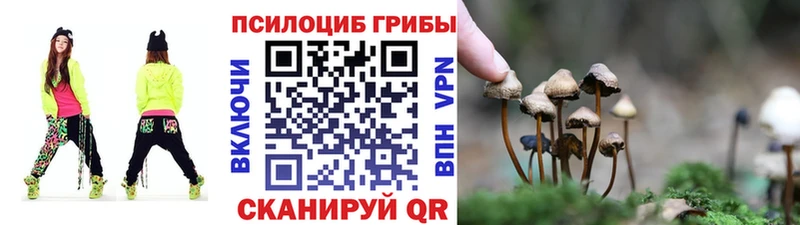 Псилоцибиновые грибы мухоморы  дарк нет какой сайт  Пучеж 